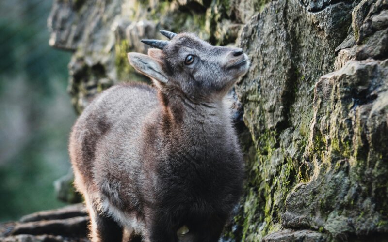 Revista Área 3 - Número 29