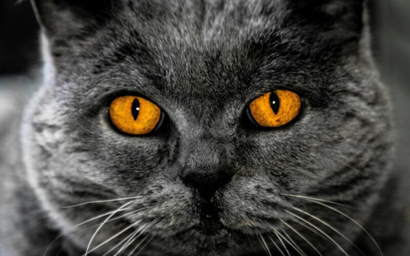 Revista Área 3 - Número 29