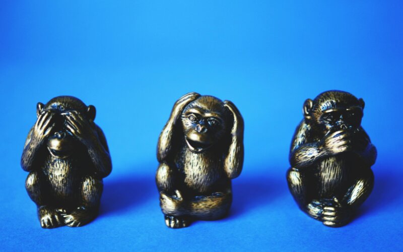 Revista Área 3 - Número 29