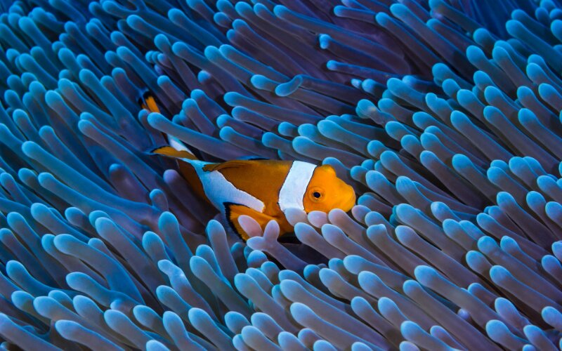 Revista Área 3 - Número 29